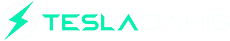 TESLABAHIS logosu